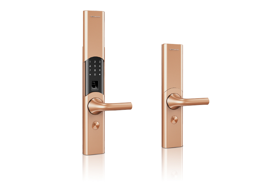 DESSMANN (China) Machinery & Electronic Co., Ltd "T86-NB Smart Lock"