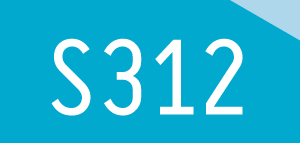S312